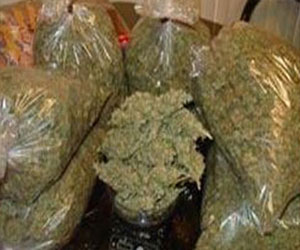   مصر اليوم - ضبط 500 جرام من البانجو بحوزة عاطل في مرسى علم