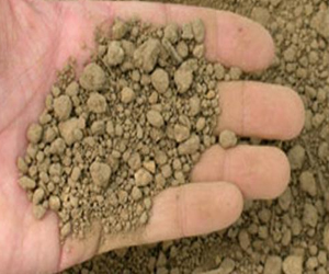 مصر اليوم - التراب على قائمة الطعام في مطعم شهير في لندن