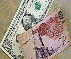   مصر اليوم - الدولار يواصل استقراره أمام الجنيه المصري
