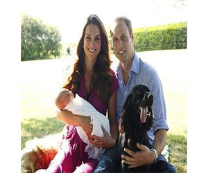   مصر اليوم - وزارة الدفاع البريطانية تدافع عن قرار عدام كلبي حراسة لحماية الأمير وليام