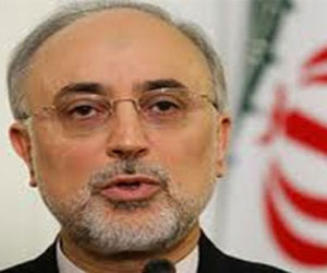   مصر اليوم - إيران تتوقع انفراجًا في ملفها النووي خلال الأشهر القليلة المقبلة