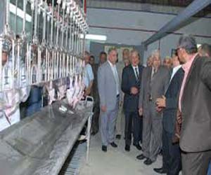 مصر اليوم - إنشاء مجزر آلي في الشلاتين بـ19 مليون جنيه