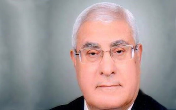   مصر اليوم - خبراء مصريون يؤكدون أهمية الجولة الخليجية للرئيس المؤقت