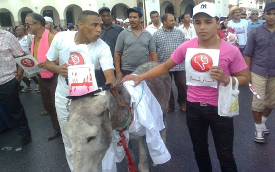   مصر اليوم - متظاهرون من الاستقلال والاتحاد الاشتراكي يشيرون إلى بن كيران بحمار