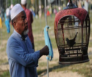   مصر اليوم - انطلاق مسابقة غناء الطيور التراثية في تايلاند