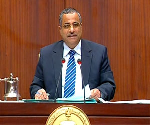   مصر اليوم - الأمن المصري ينفي القبض على رئيس الشورى السابق