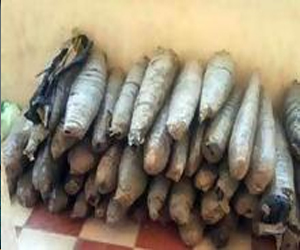   مصر اليوم - إحباط دخول 280 طربة حشيش من منفذ السلوم