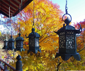   مصر اليوم - دليل لونلي بلانيت لأفضل وجهات الخريف حول العالم في 2013