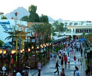   مصر اليوم - الغردقة تحتفل بيوم السياحة العالمي