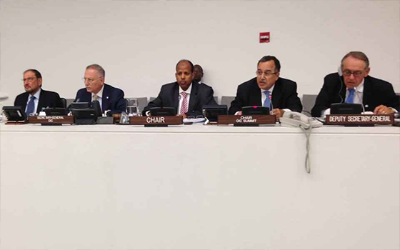   مصر اليوم - وزير الخارجية المصري يدعو حكومة ميانمار إلى احترام حقوق الروهينجا