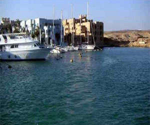   مصر اليوم - افتتاح منفذ جديد للجيش لبيع السلع الغذائية في مرسى علم