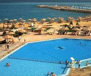   مصر اليوم - الغردقة تقيم مهرجانًا باليوم العالمي للسياحة