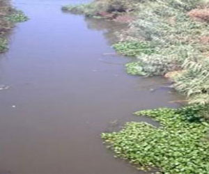   مصر اليوم - مياه مصرف خور المسك تقتحم بعض المنازل في الفيوم