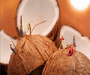   مصر اليوم - مصور برازيلي يبرع في تجسيد مشاهد حياتية بالأطعمة والفواكه