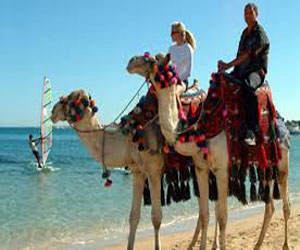   مصر اليوم - 3800 سائح من مختلف الجنسيات يصلون إلى الغردقة