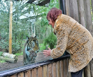 مصر اليوم - محمية بريطانية تحظر ارتداء الملابس البرية