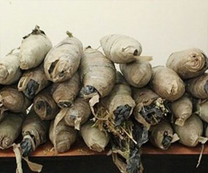   مصر اليوم - ضبط هارب بـ 10 كيلوغرام بانجو في الفيوم