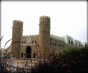 مصر اليوم - خريجو الجامعة الهولندية بلا شهادات بسبب امتحانًا شاملاً كشرط للتخرج