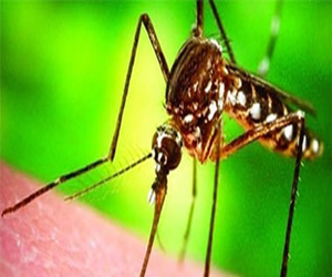 مصر اليوم - سيارة تنحرف عن الطريق وتسقط براكبيها في حفرة في ألمانيا بسبب بعوضة