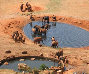 مصر اليوم - إكتشاف آبار جوفية ضخمة في شمال كينيا