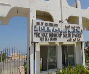   مصر اليوم - مَعهَدُ عُلومِ البِحار والمَصايد في الغردقة منارةُ الأبحاثِ البَحرِية