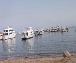   مصر اليوم - انطلاق حملة أنت الصح لتشجيع السياحة الداخلية في شرم الشيخ