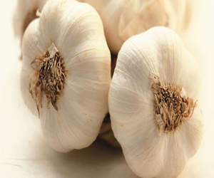   مصر اليوم - تناول الثوم والزبيب يمنع الولادة المبكرة