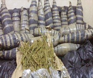   مصر اليوم - ضبط 77 كلغ بانجو وأقراص مخدرة في الفيوم