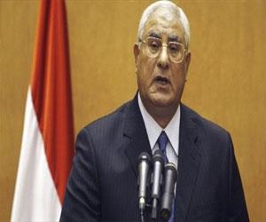   مصر اليوم - الحركة الثورية تُشيد بخطاب منصور بشأن دعم فلسطين