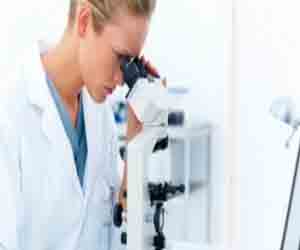   مصر اليوم - باحثون من يبتكرون بطاقة ذاكرة مصنوعة من مواد بروتينية