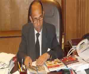   مصر اليوم - هتافات ممثلي القوى السياسية ضد محافظ الفيوم تشق أجواء احتفالات أكتوبر المجيدة