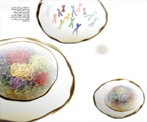   مصر اليوم - صورة ثلاثية الأبعاد لتغيير كروموزومات خلايا الجهاز المناعي