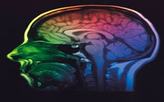   مصر اليوم - علماء يكتشفون أن الدماغ البشري يستغرق وقتًا أطول لتقبل النتائج السيئة