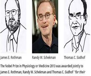   مصر اليوم - اميركيان وألماني يفوزون بجائزة نوبل لعام 2013