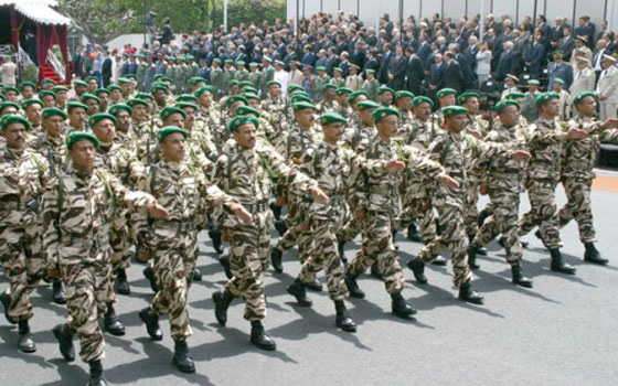   مصر اليوم - التعاون الأمني والعسكري والتكوين المهني أولويات لدمج الثوار