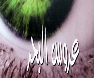 مصر اليوم - عروس البحر مجموعة قصصية لوائل وجدي