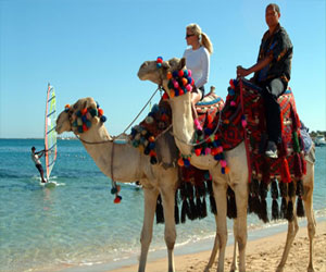   مصر اليوم - حفل موسيقي لـروبرت بوش الألمانية لتنشيط السياحة في الغردقة