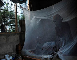   مصر اليوم - لقاح جديد يساعد على الوقاية من الملاريا