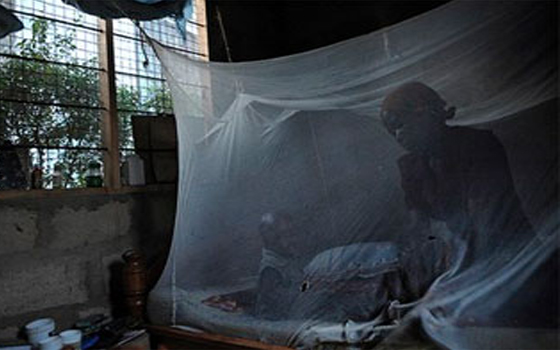 مصر اليوم - لقاح جديد يساعد على الوقاية من الملاريا