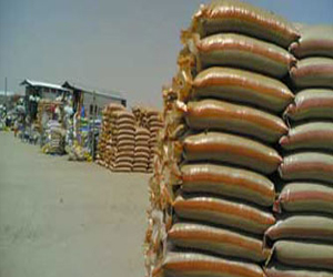   مصر اليوم - ضبط أسمدة مجهولة المصدر في مصنع في الإسماعيلية