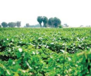   مصر اليوم - اليمن والأردن توقعان محضرًا للتعاون في المجال الزراعي