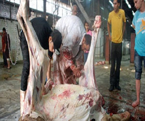   مصر اليوم - مجازر أسيوط تستقبل أضاحي المواطنين بأجر رمزي