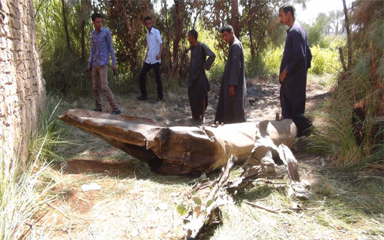   مصر اليوم - نيابة الأقصر تنتقل لموقع سقوط طائرة التدريب العسكرية