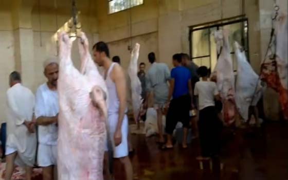 مصر اليوم - زيارة واحد لأحد مجازر أسيوط تكفي لعزوفك عن أكل اللحوم مدى الحياة