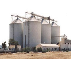   مصر اليوم - المجلس الاقتصادي في السعودية يوافق على خصخصة مطاحن الدقيق