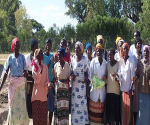   مصر اليوم - نساء يتظاهرن في زيمبابوي بالنيابة عن أزواجهن