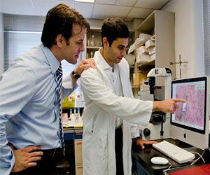 مصر اليوم - نوع من الفئران ينتج مادة تحمي من السرطان