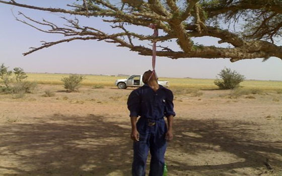   مصر اليوم - حبيبان تونسيّان ينتحران شنقًا على الشجرة ذاتها في صفاقس