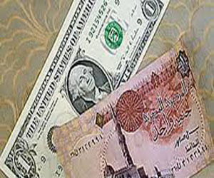  مصر اليوم - الدولار يسجل 6.88 أمام الجنيه المصري وإقبال ضعيف على العملة الخضراء