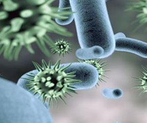   مصر اليوم - علماء بريطانيون يكتشفون فيروسًا يأكل البكتيريا